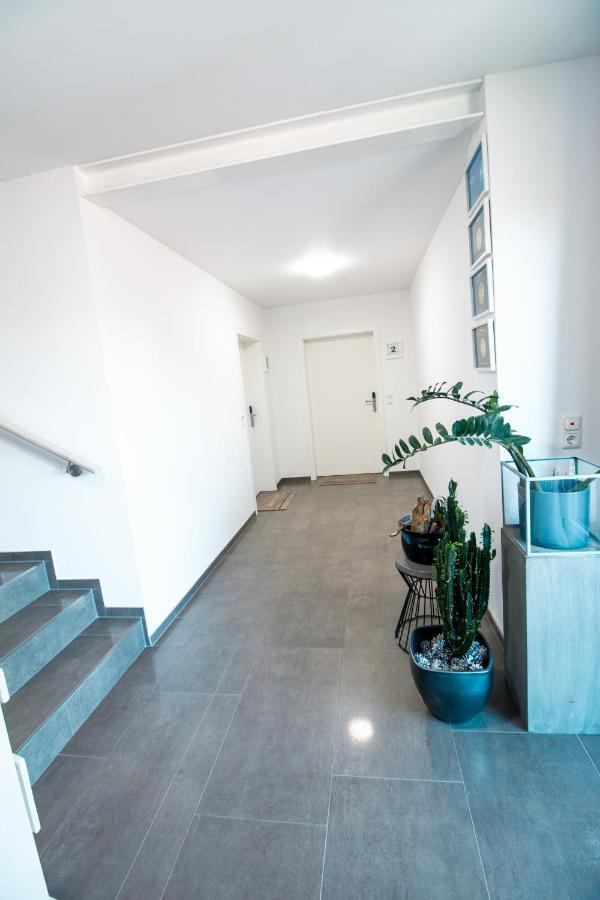Apartment Meine Екстер'єр фото